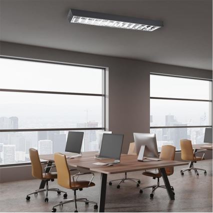 Fluorescent light T8 2xG13/18W/230V 120 cm black