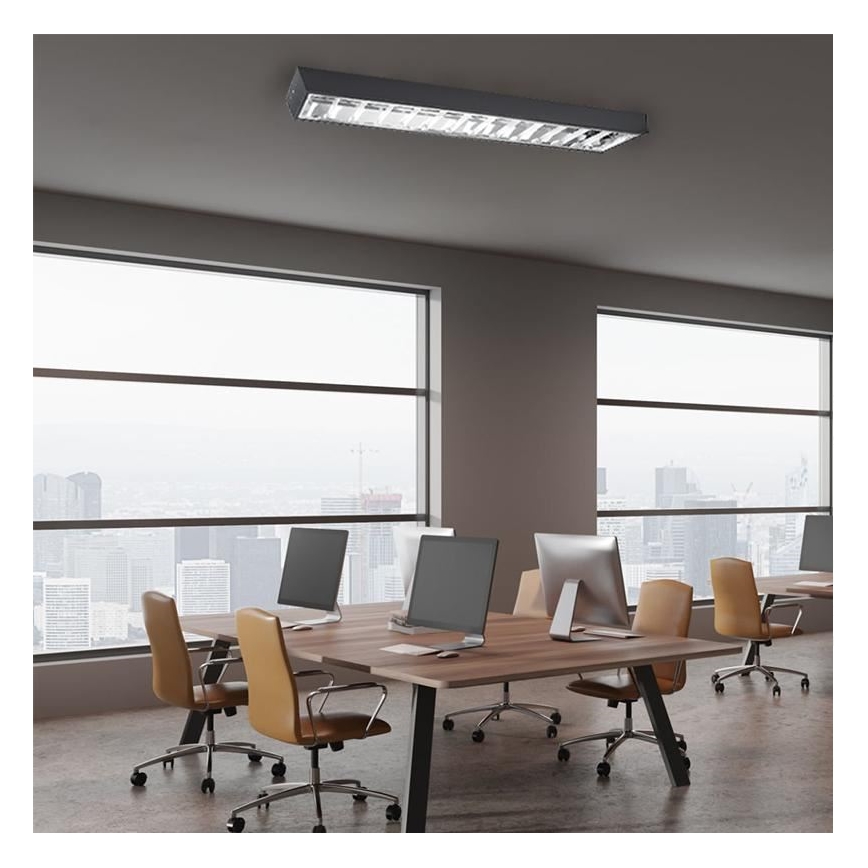 Fluorescent light T8 2xG13/18W/230V 120 cm black