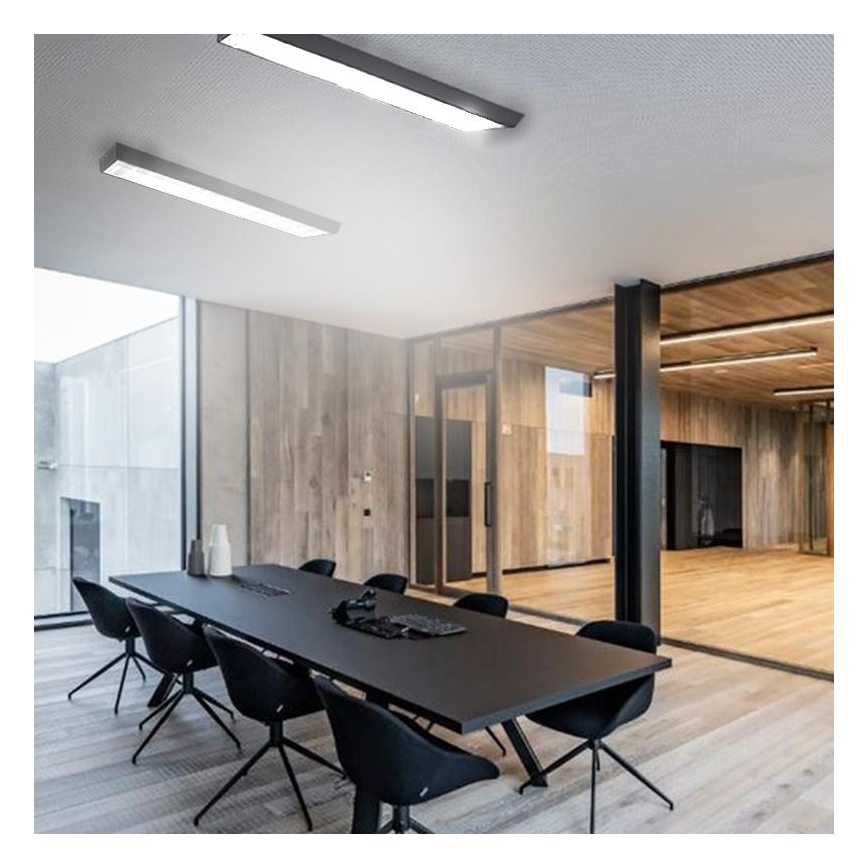 Fluorescent light T8 2xG13/18W/230V 120 cm black