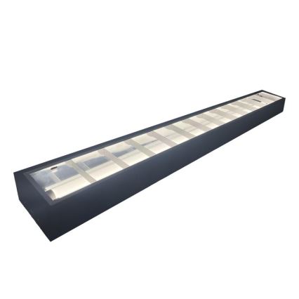 Fluorescent light T8 2xG13/18W/230V 120 cm black