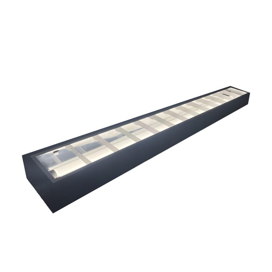 Fluorescent light T8 2xG13/18W/230V 120 cm black