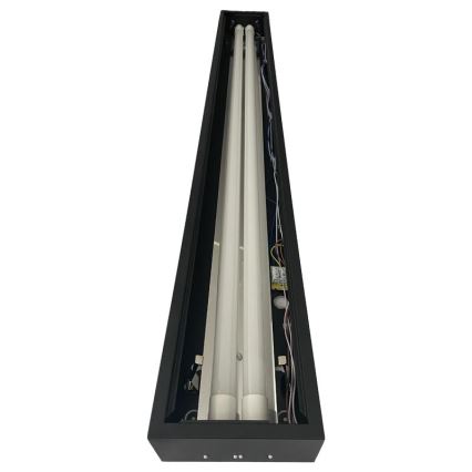 Fluorescent light T8 2xG13/18W/230V 120 cm black