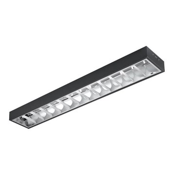 Fluorescent light T8 2xG13/18W/230V 120 cm black