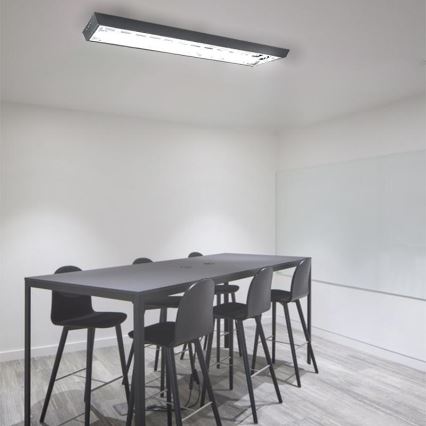 Fluorescent light T8 2xG13/18W/230V 120 cm black