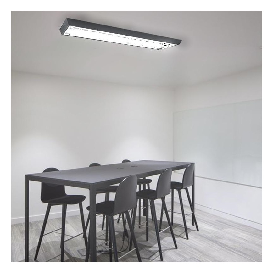 Fluorescent light T8 2xG13/18W/230V 120 cm black