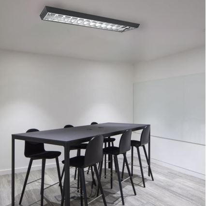 Fluorescent light T8 2xG13/18W/230V 120 cm black