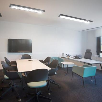 Fluorescent light T8 2xG13/18W/230V 120 cm black