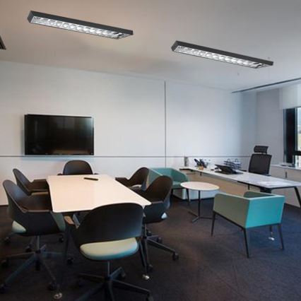 Fluorescent light T8 2xG13/18W/230V 120 cm black