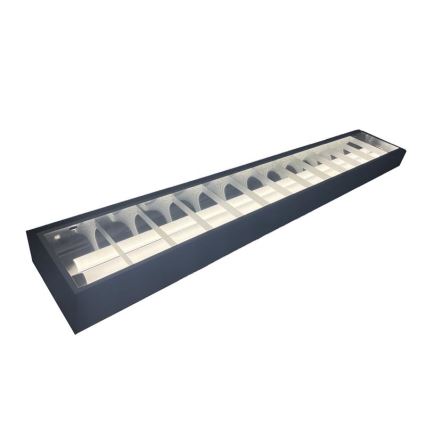 Fluorescent light T8 2xG13/18W/230V 120 cm black