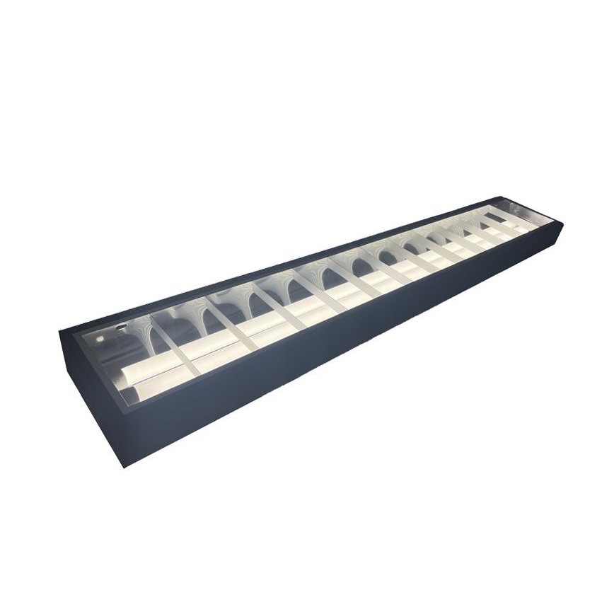 Fluorescent light T8 2xG13/18W/230V 120 cm black