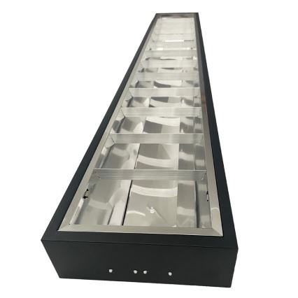 Fluorescent light T8 2xG13/18W/230V 120 cm black