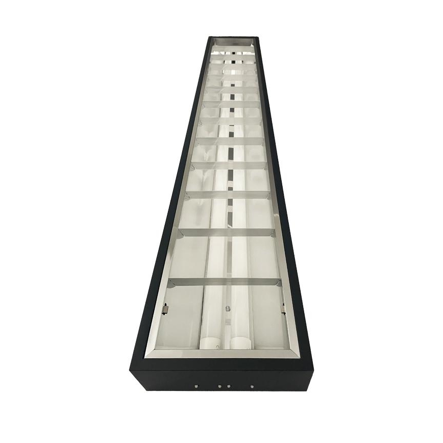 Fluorescent light T8 2xG13/18W/230V 120 cm black