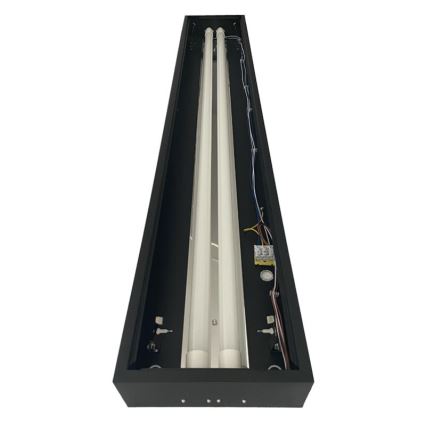 Fluorescent light T8 2xG13/18W/230V 120 cm black