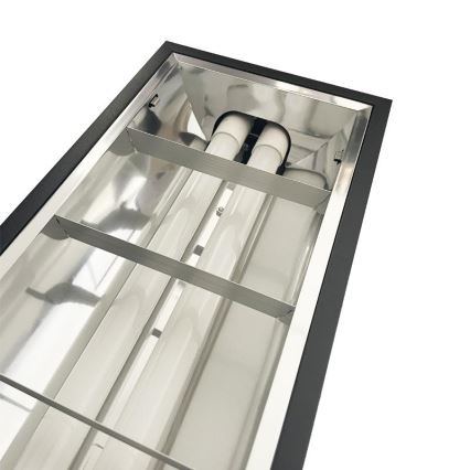 Fluorescent light T8 2xG13/18W/230V 120 cm black