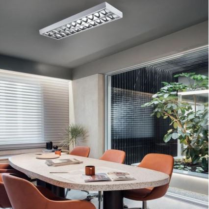 Fluorescent light T8 2xG13/18W/230V 120 cm