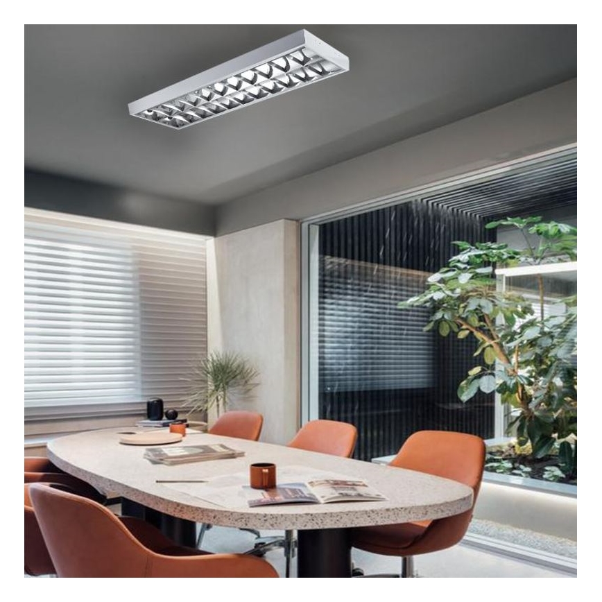 Fluorescent light T8 2xG13/18W/230V 120 cm