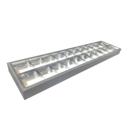 Fluorescent light T8 2xG13/18W/230V 120 cm