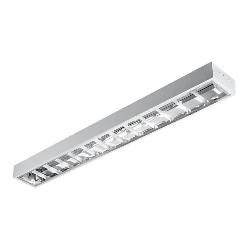 Fluorescent light T8 2xG13/18W/230V 120 cm white
