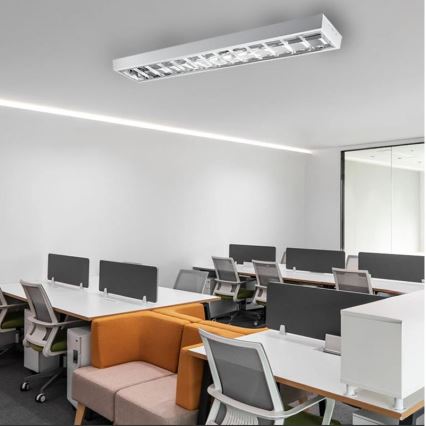 Fluorescent light T8 2xG13/18W/230V 120 cm white