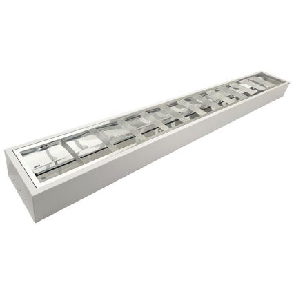 Fluorescent light T8 2xG13/18W/230V 120 cm white