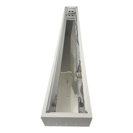 Fluorescent light T8 2xG13/18W/230V 120 cm white