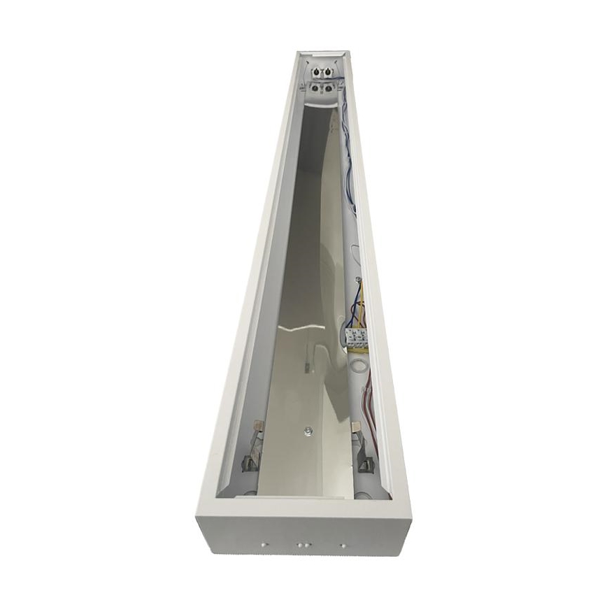 Fluorescent light T8 2xG13/18W/230V 120 cm white