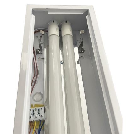Fluorescent light T8 2xG13/18W/230V 120 cm white