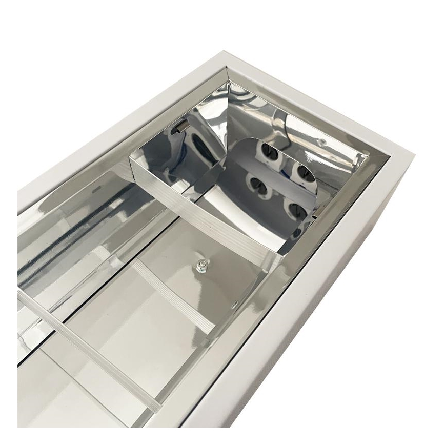 Fluorescent light T8 2xG13/18W/230V 120 cm white