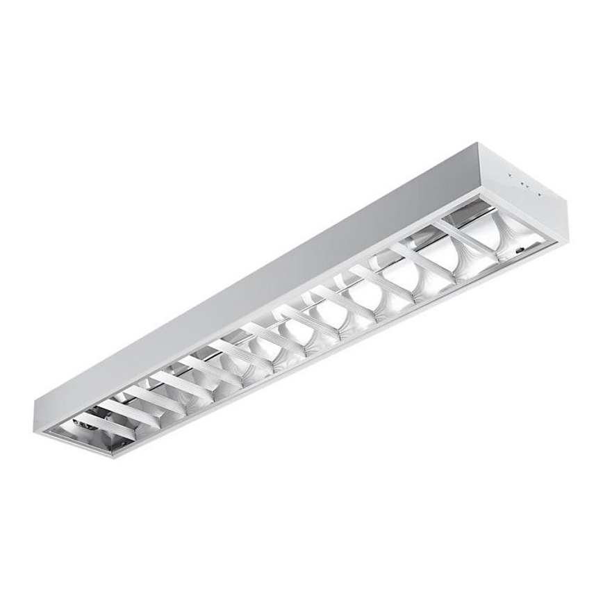 Fluorescent light T8 2xG13/18W/230V 120 cm white