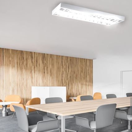 Fluorescent light T8 2xG13/18W/230V 120 cm white