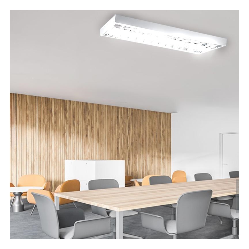 Fluorescent light T8 2xG13/18W/230V 120 cm white