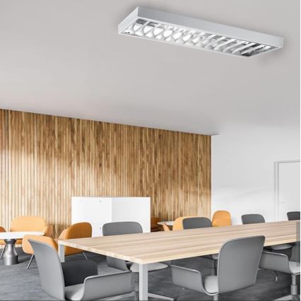 Fluorescent light T8 2xG13/18W/230V 120 cm white