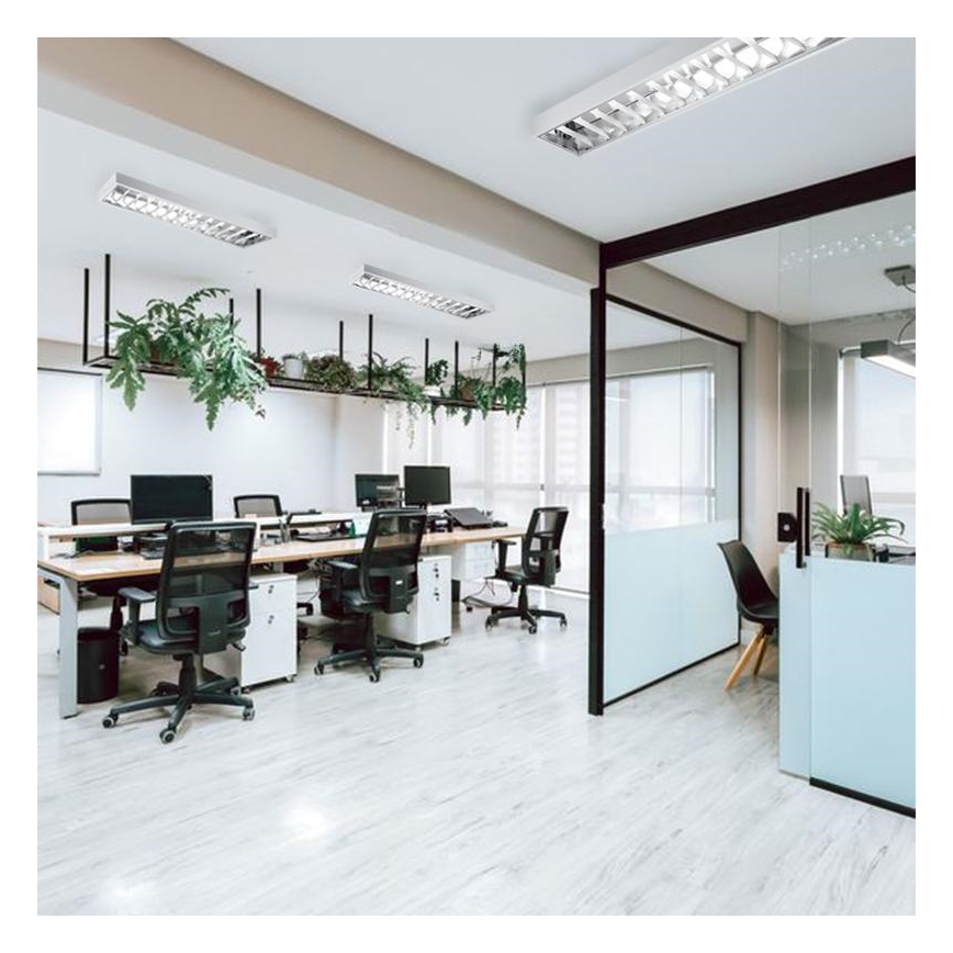 Fluorescent light T8 2xG13/18W/230V 120 cm white