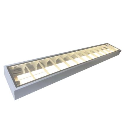 Fluorescent light T8 2xG13/18W/230V 120 cm white
