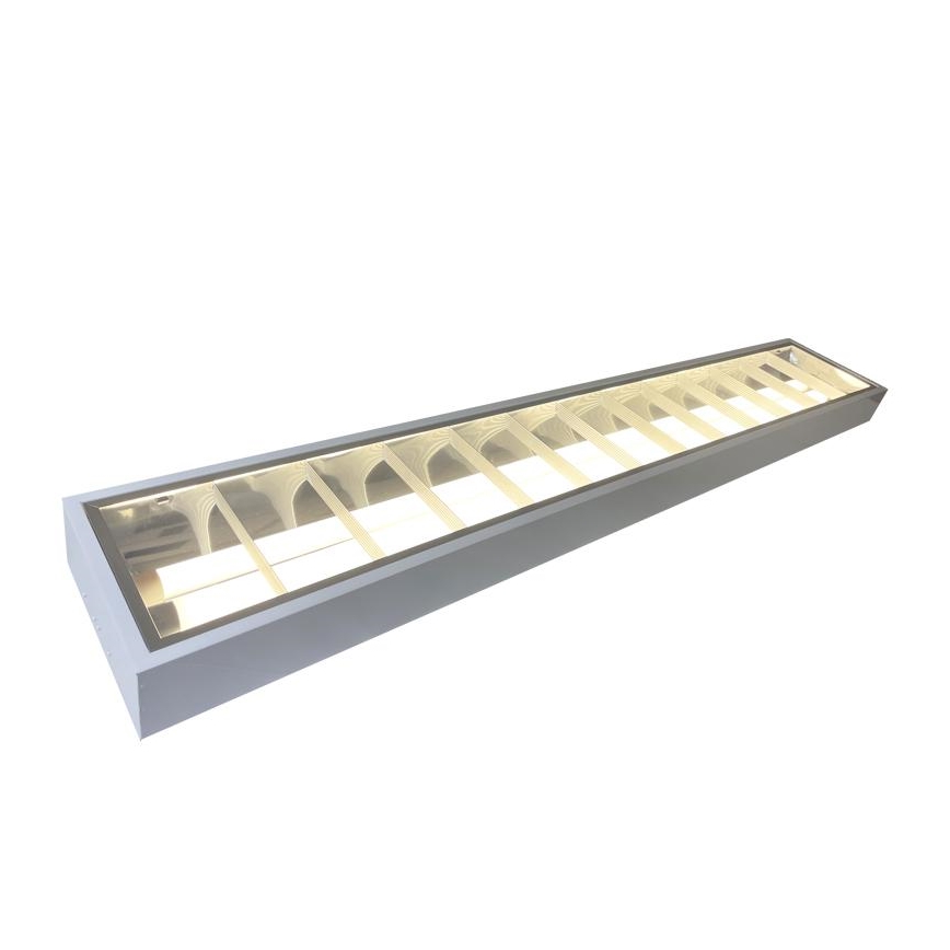 Fluorescent light T8 2xG13/18W/230V 120 cm white