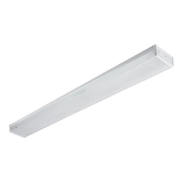 Fluorescent light T8 2xG13/18W/230V 124 cm