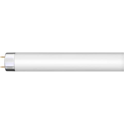 Fluorescent tube G13/36W/230V 120 cm