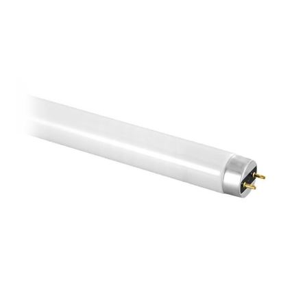 Fluorescent tube T8 BELLIGHT G13/36W/230V 120 cm