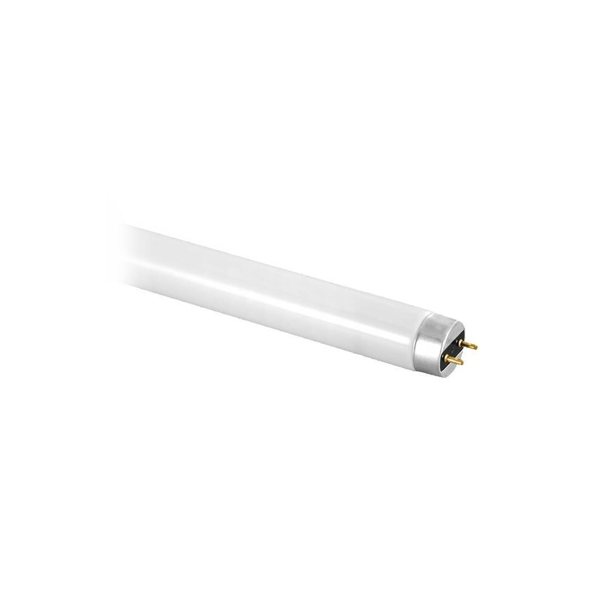 Fluorescent tube T8 BELLIGHT G13/36W/230V 120 cm