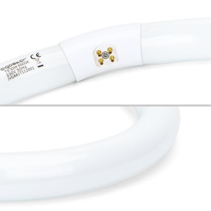 Fluorescent tube T9 G24q-1/32W/230V 6500K - Aigostar