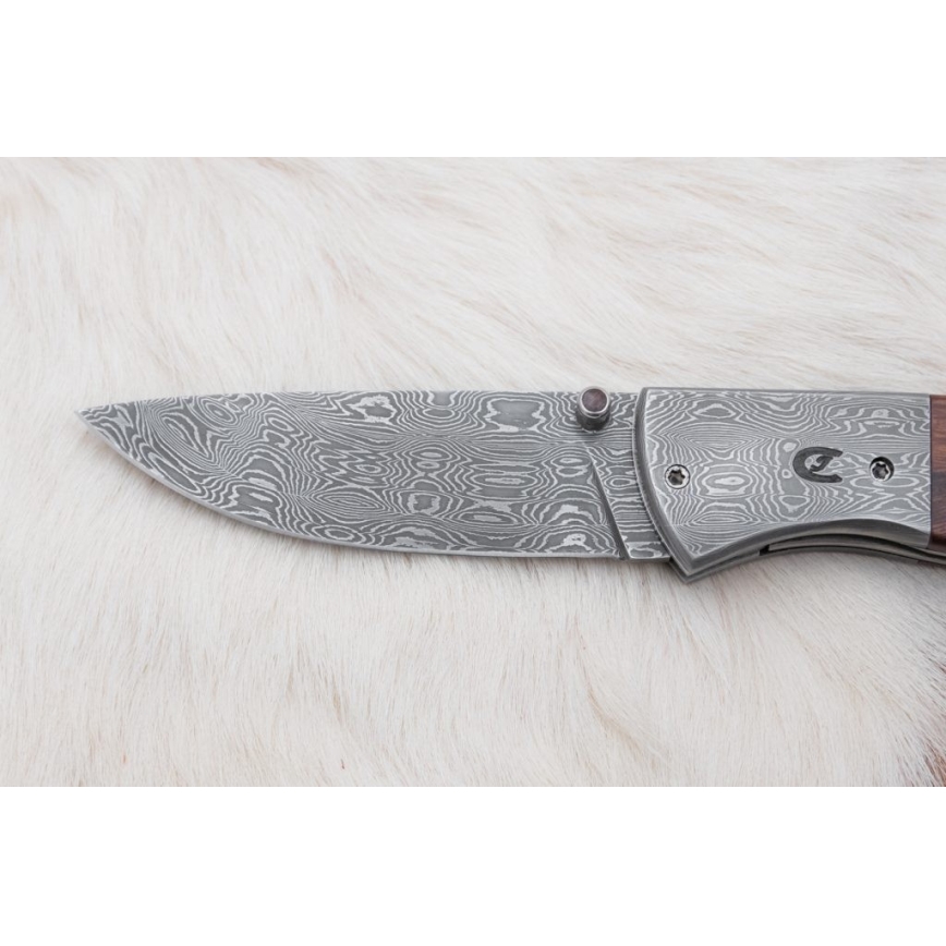 Folding Damascus knife 8 cm ironwood