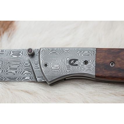 Folding Damascus knife 8 cm ironwood