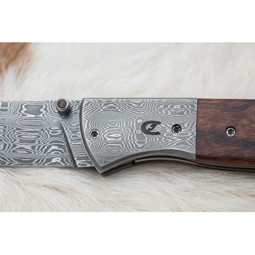 Folding Damascus knife 8 cm ironwood