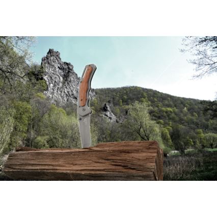 Folding knife with safety lock 20 cm