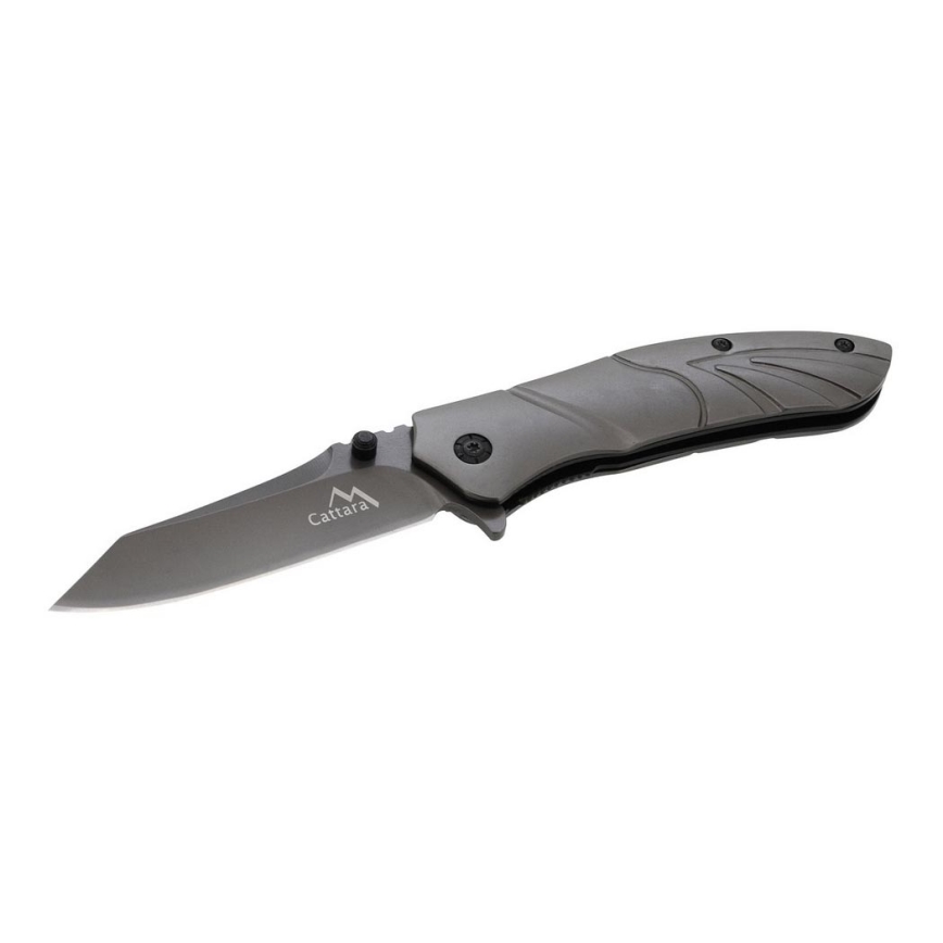Folding knife with safety lock 22 cm