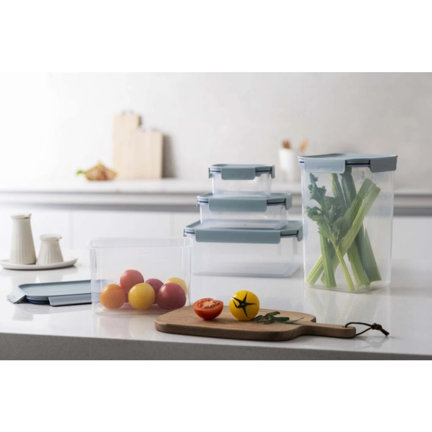 Food storage container CLASSIC PLUS 0.91 l blue/clear
