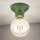 FROST Ceiling Light 1xE27/60W/230V Green