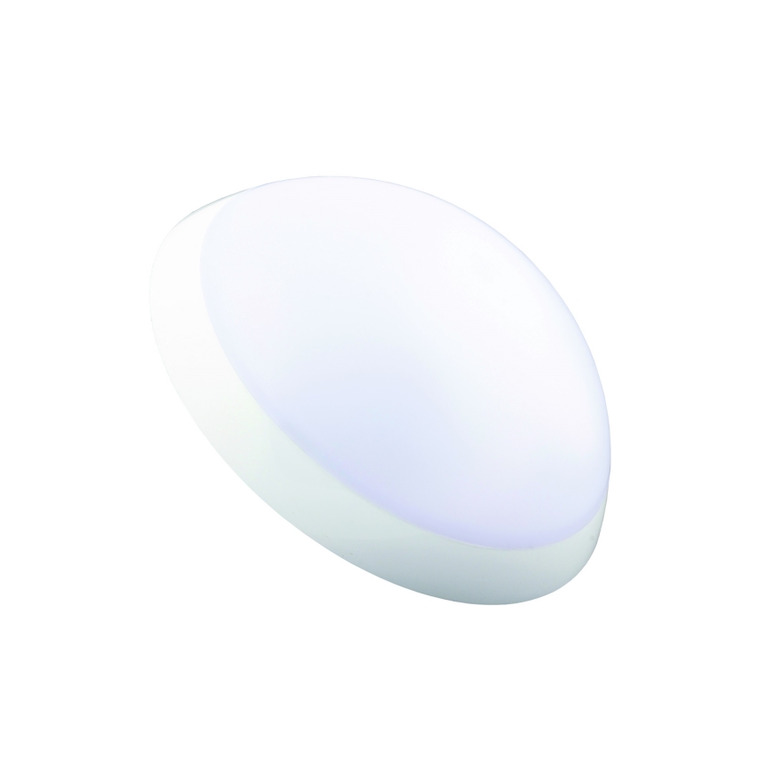 Fulgur 20994 - Technical ceiling light ROMANA 1xE27/100W/230V IP64