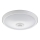 Fulgur 24120 - LED Ceiling light with a sensor DARINA LED/12W/230V