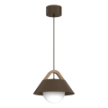 FUNDA Cable-Mounted Pendant Light 1xE27/15W/230V, Brown